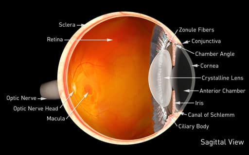1765546599_Corneal-Services Corneal Care